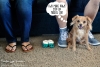 2morepaws-01