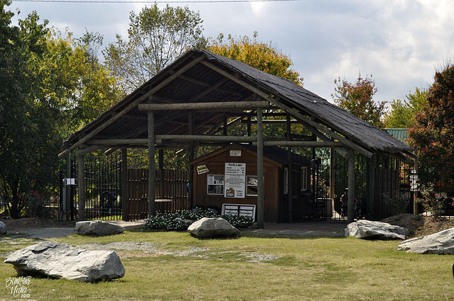 New York Daily News Uses Hollywild Park Photo