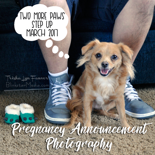 Pregnancy Announcement Photos: Two More Paws